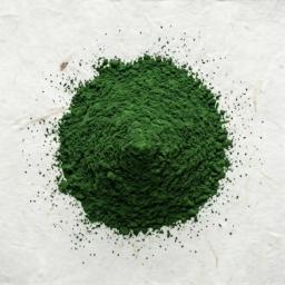 Value-priced Ise-cha deep steamed tea powder 500g (unsweetened)（3）