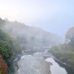 ほうじ茶 ティーバッグ 50個 まとめ買い 業務用 伊勢茶 三重県産一番茶100% 藤八茶寮（6）