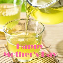 5월 7일까지 어버이날 선물] 이세차 호우지차 티백（3）