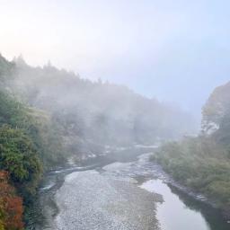 伊势茶日本红茶 8 袋装（6）