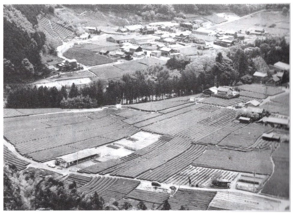 三重県茶産地マップ