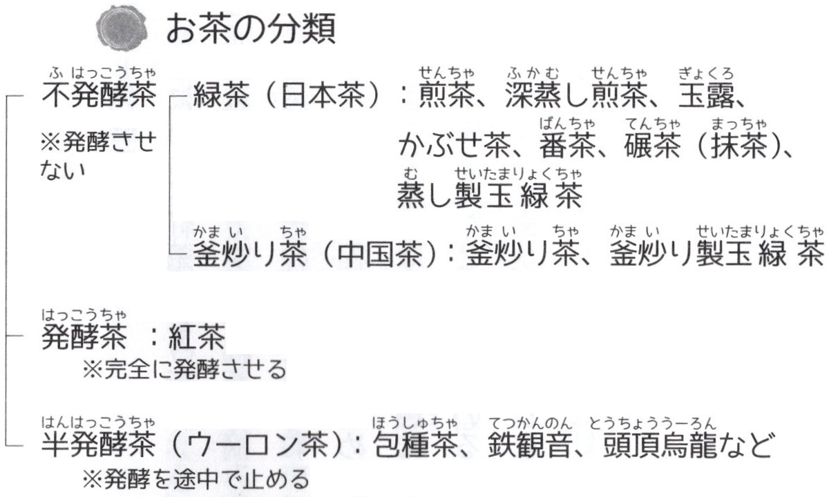 緑茶の種類と特徴一覧
