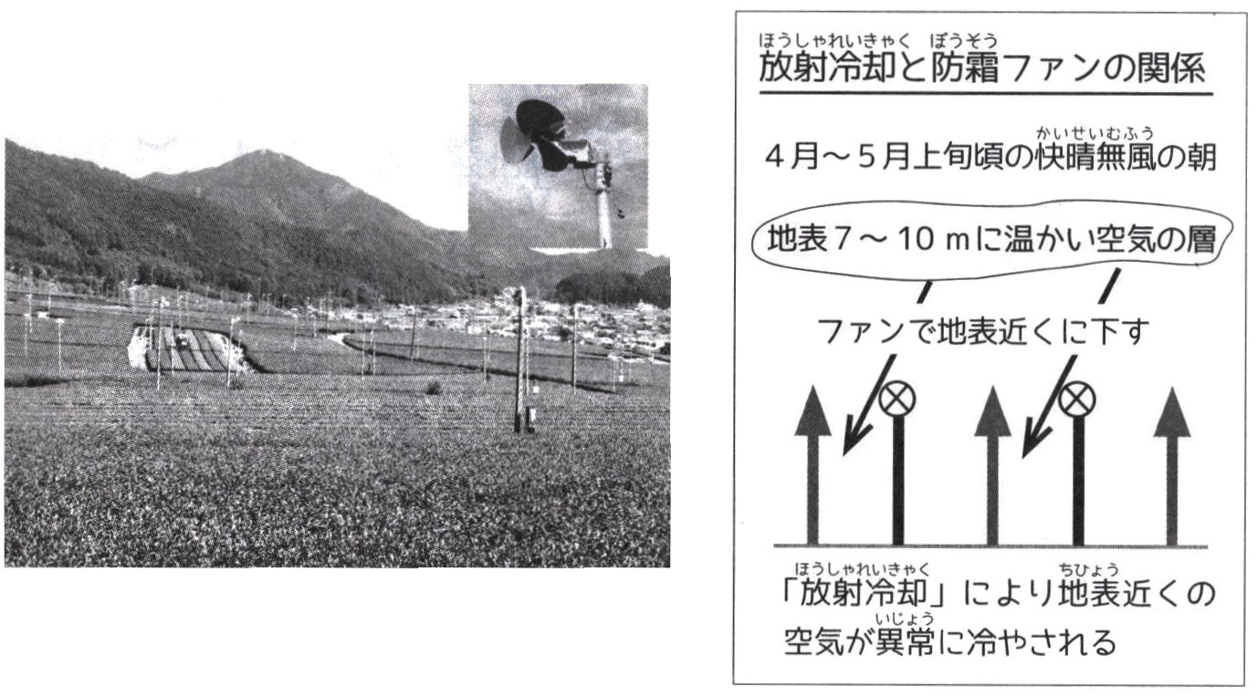 防霜ファンの仕組み