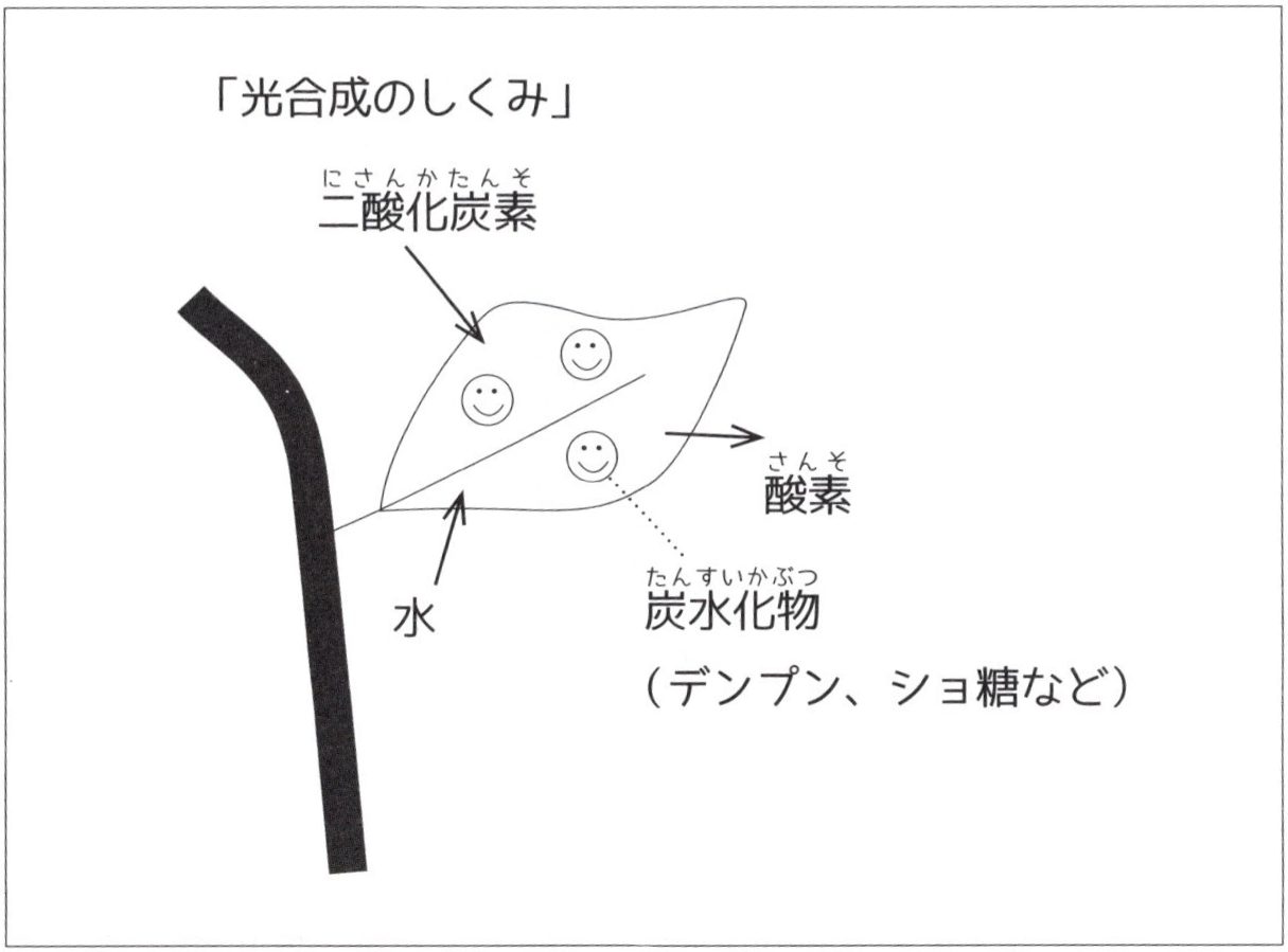 川霧と茶園の関係図