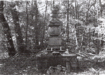 水屋神社の大楠・樹齢千年の天然記念物（飯高町赤桶）