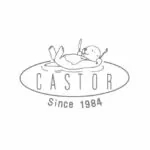 CASTOR