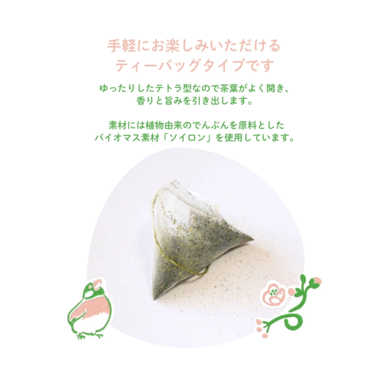 カフェインカット（デカフェ）緑茶 ティーバッグ8個（3）