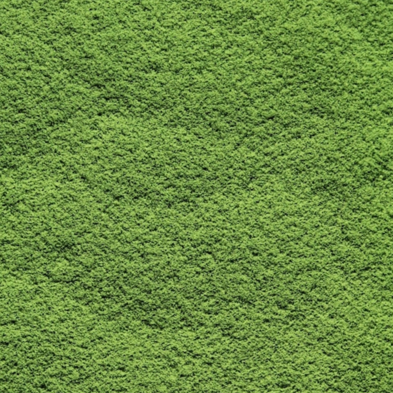 伊勢の深蒸し茶パウダー 100g（無糖）（2）