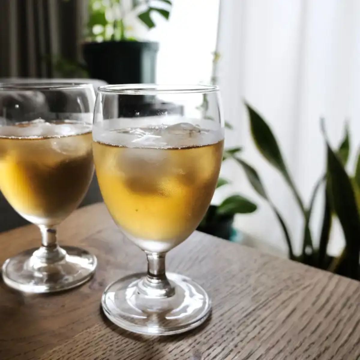 お得用 伊勢のほうじ茶 ティーバッグ 50個