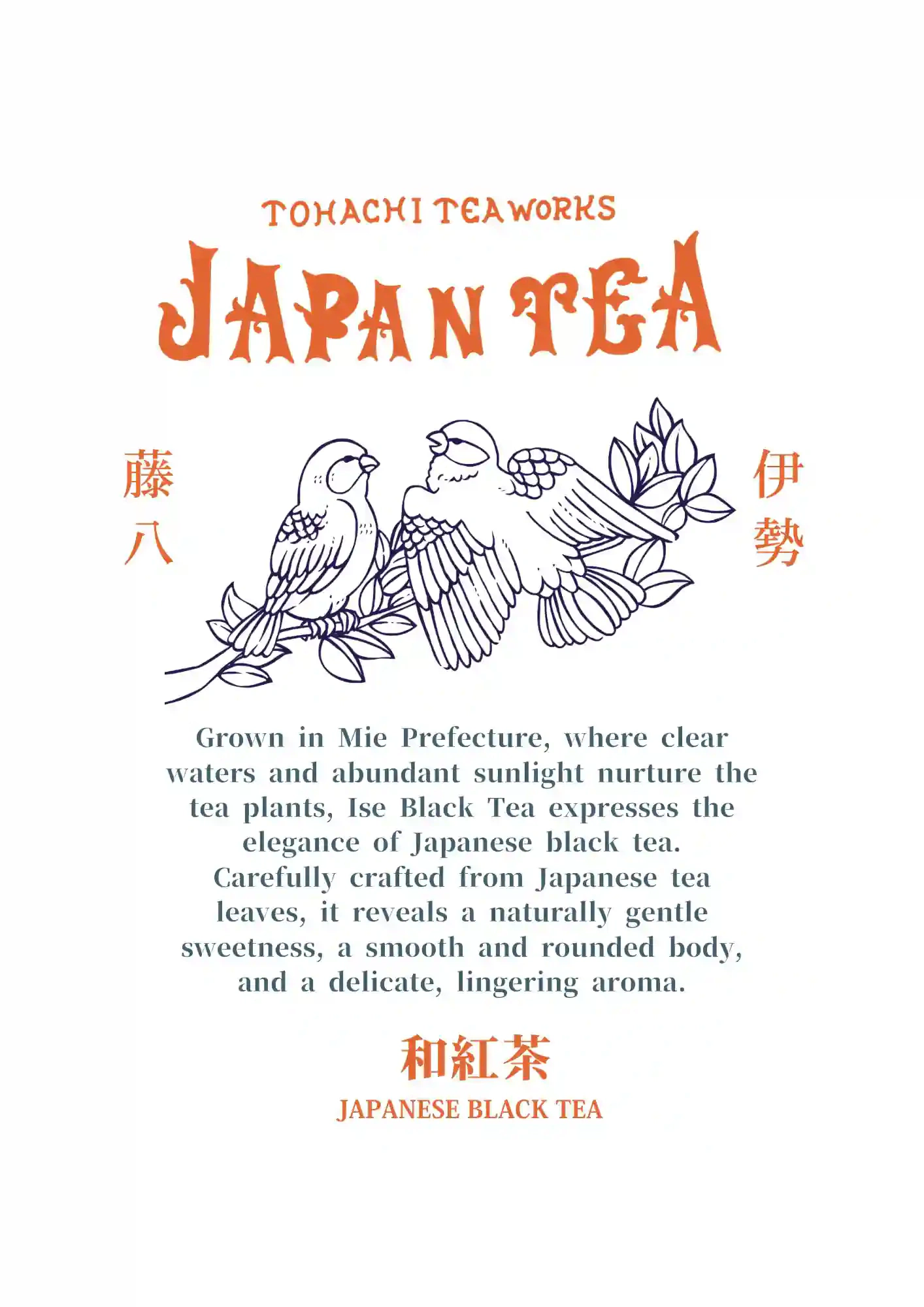 伊势茶日本红茶 8 袋装（4）