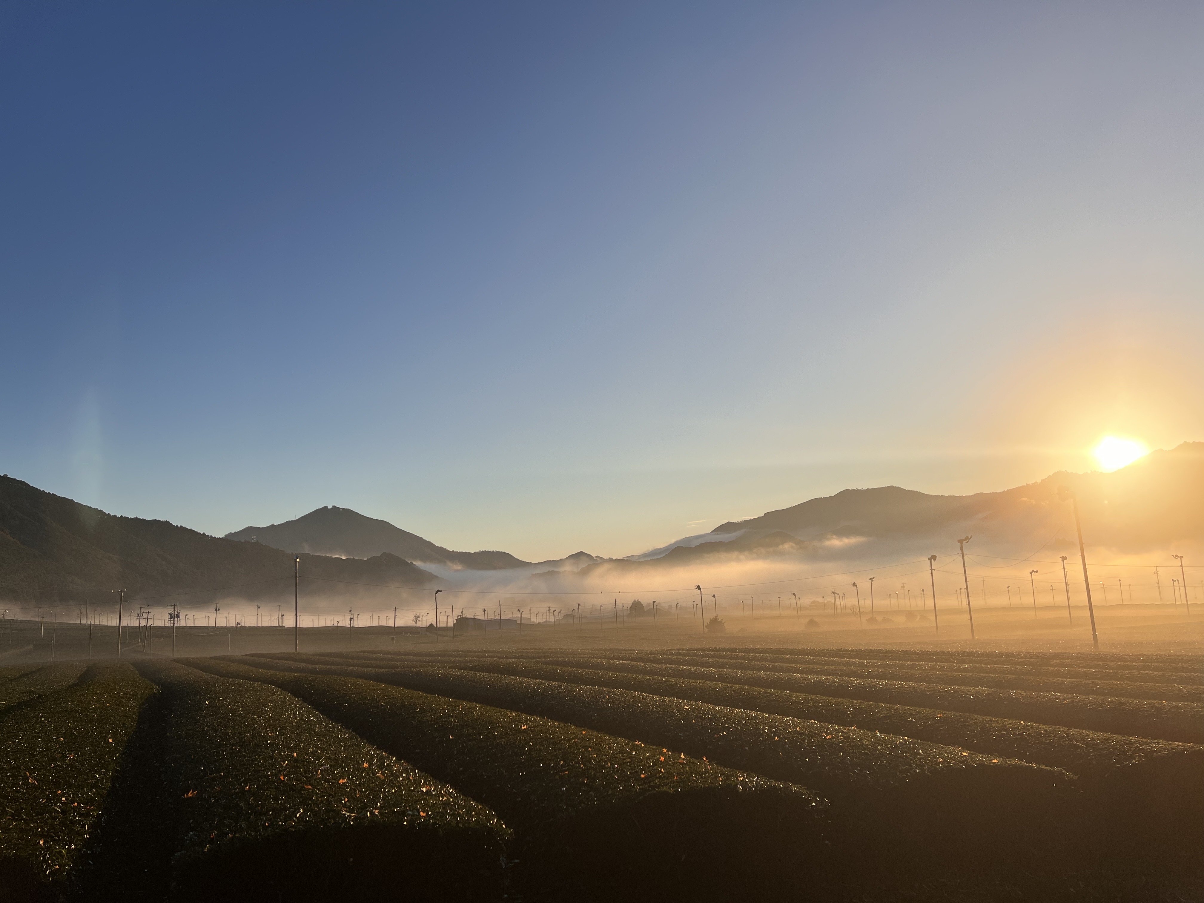 ご注文の流れのイメージ