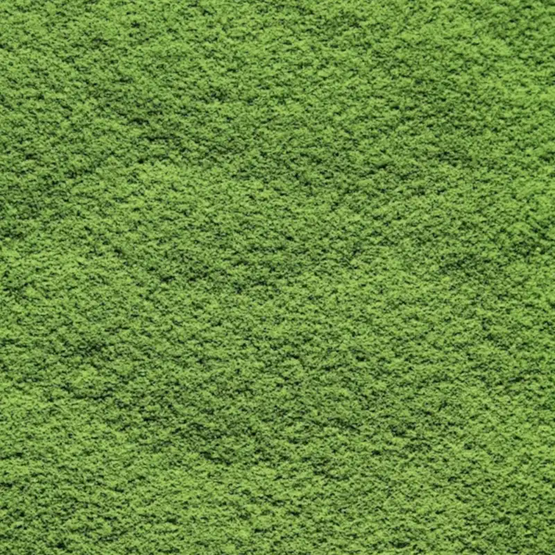 伊勢茶パウダー 100g(無糖) - 画像 (2)