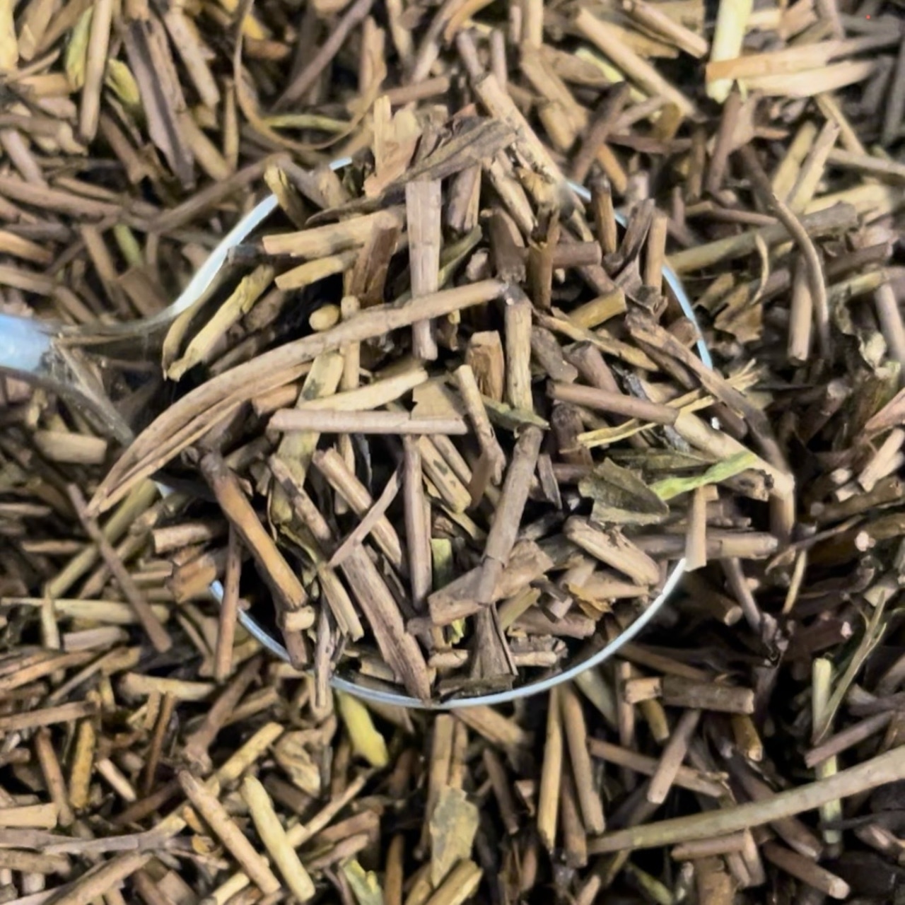 伊勢のほうじ茶 - 画像 (2)