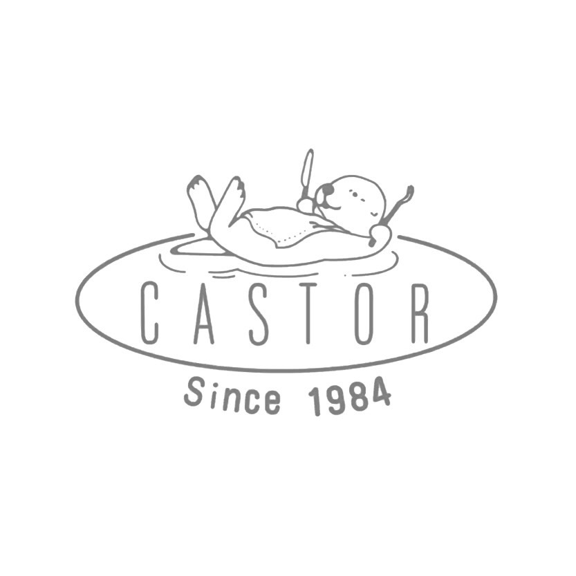 CASTOR