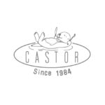 CASTOR